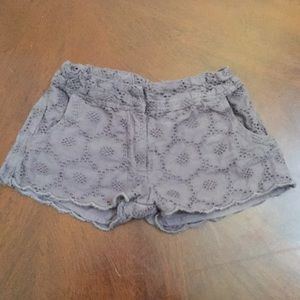 Gray eyelet shorts by Peek.
